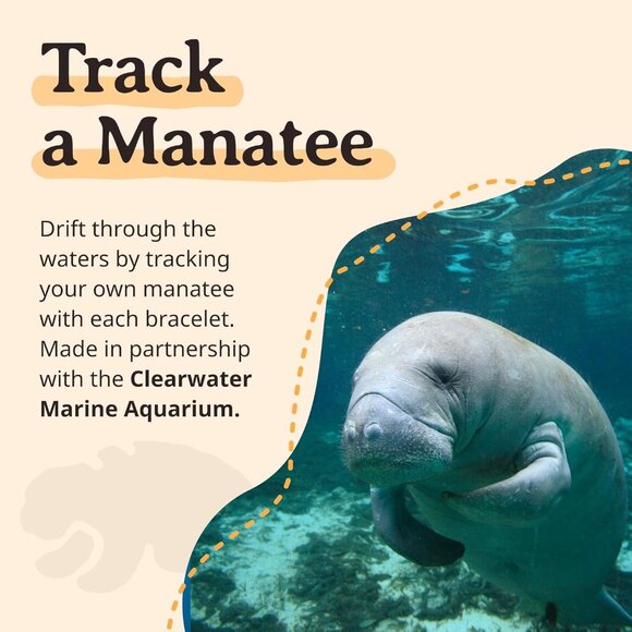 Manatee Tracking Bracelet Elastic Support Marine Aquarium Wildlife Conservation - Picture 3 of 6